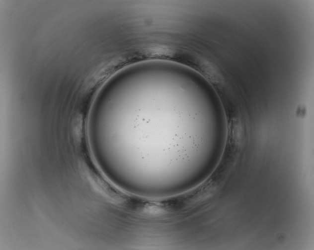 X0000113620550200909251209