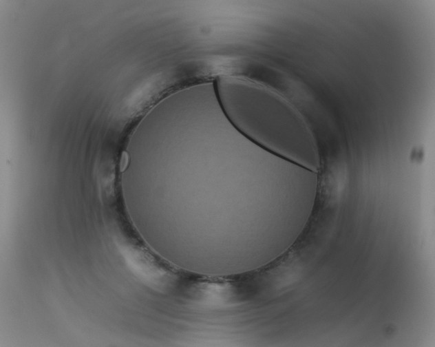 X0000113620552200909251209