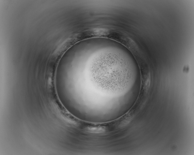 X0000113620553200909251209