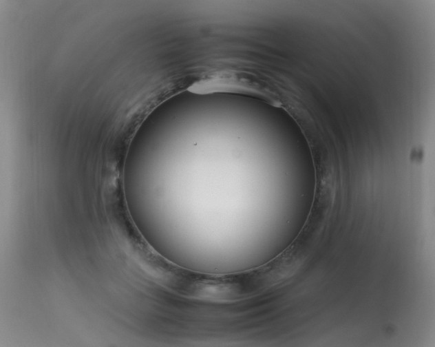 X0000113620555200909251209