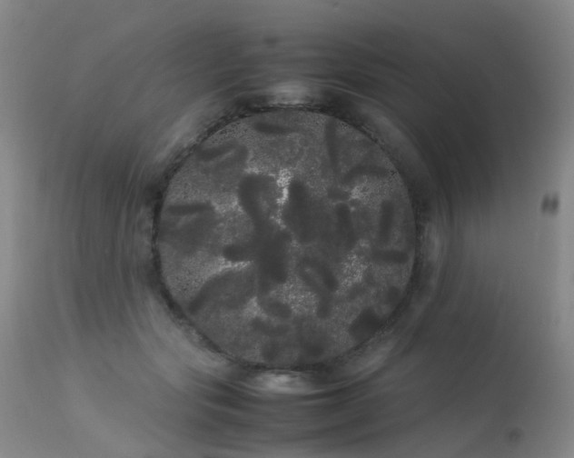 X0000113620557200909251209