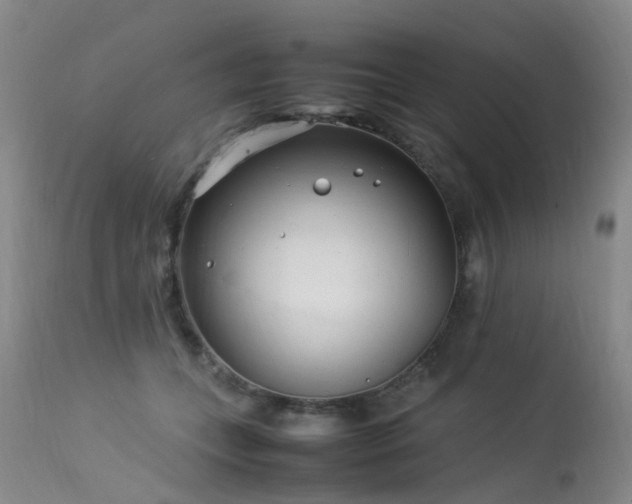 X0000113620559200909251209