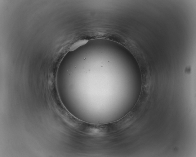 X0000113620563200909251209