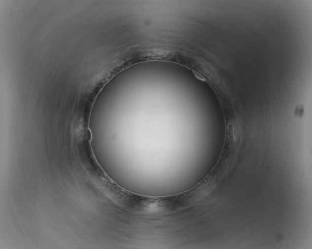 X0000113620564200909251209