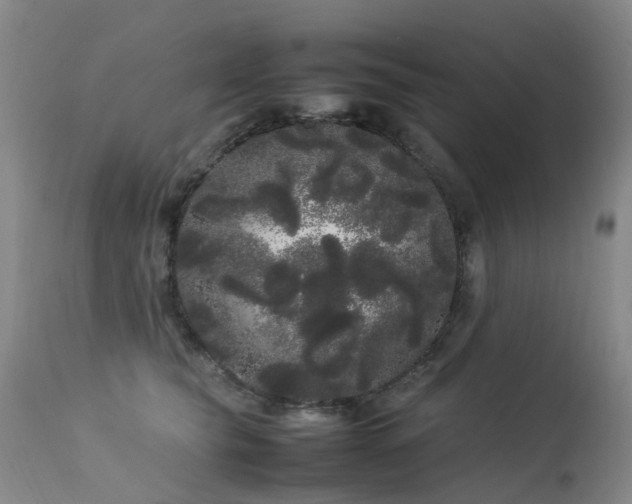 X0000113620565200909251209