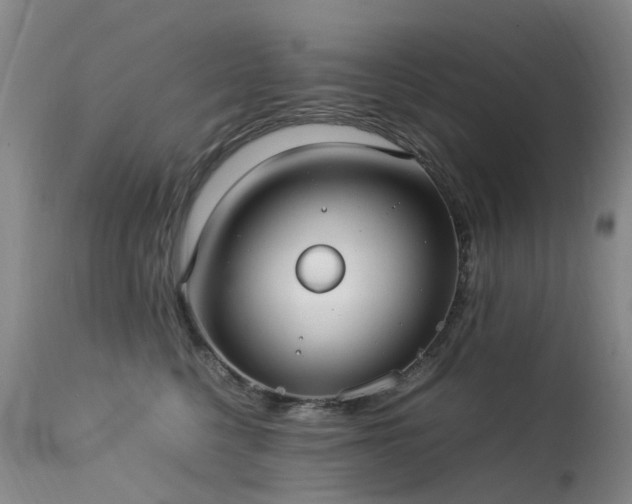 X0000113620568200909251209