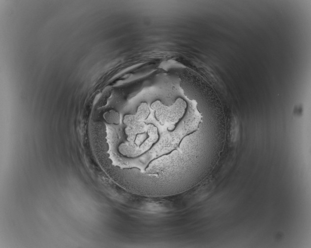 X0000113620569200909251209