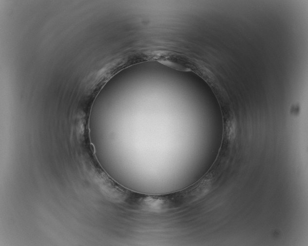 X0000113620570200909251209