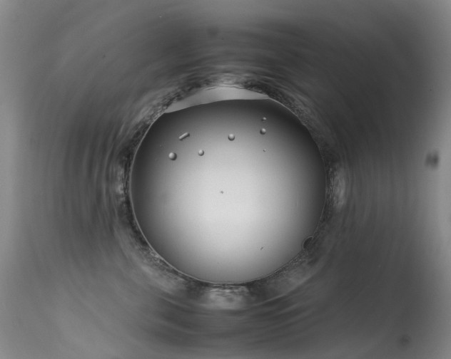 X0000113620571200909251209