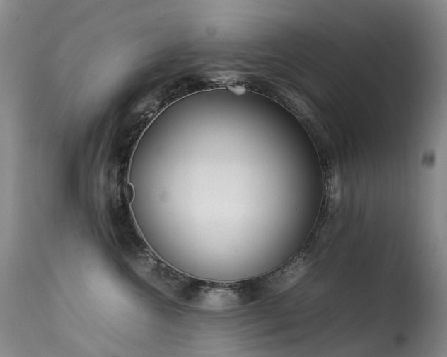 X0000113620572200909251209