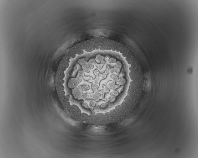 X0000113620573200909251209