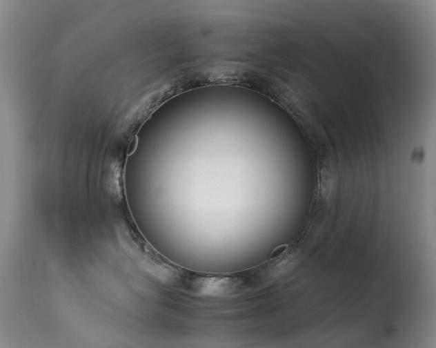 X0000113620575200909251209