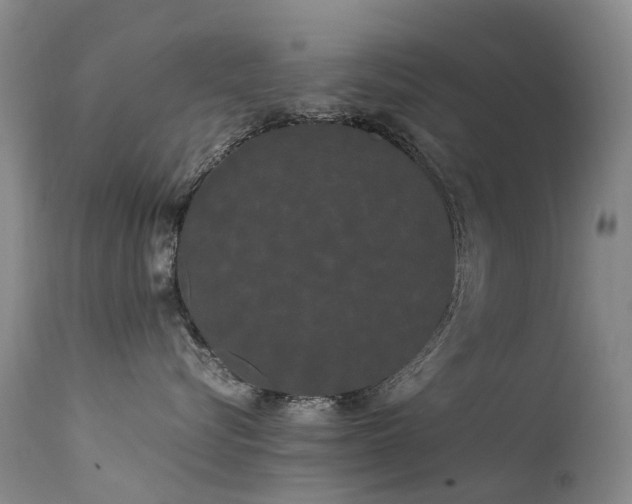 X0000113620576200909251209