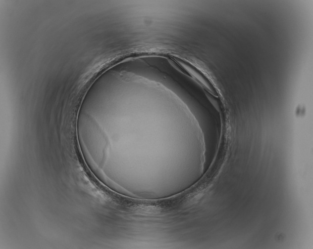 X0000113620577200909251208