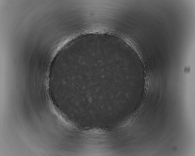 X0000113620578200909251208