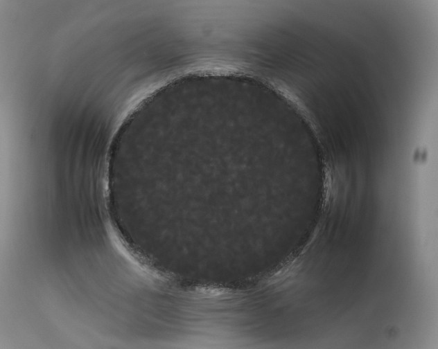 X0000113620582200909251208