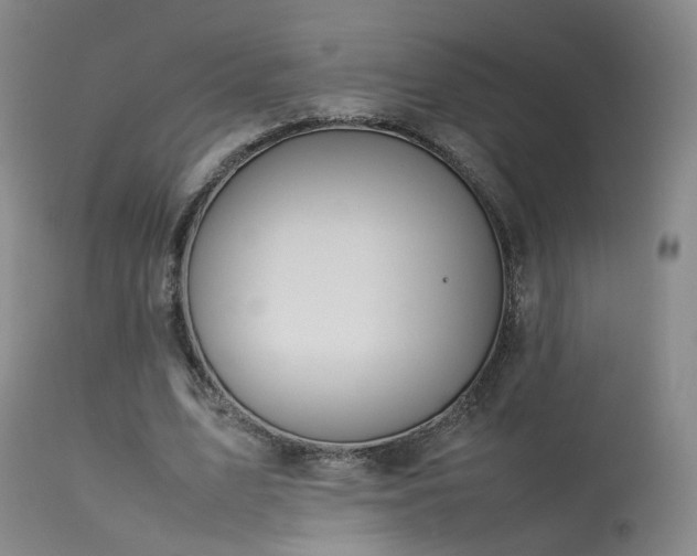 X0000113620583200909251208