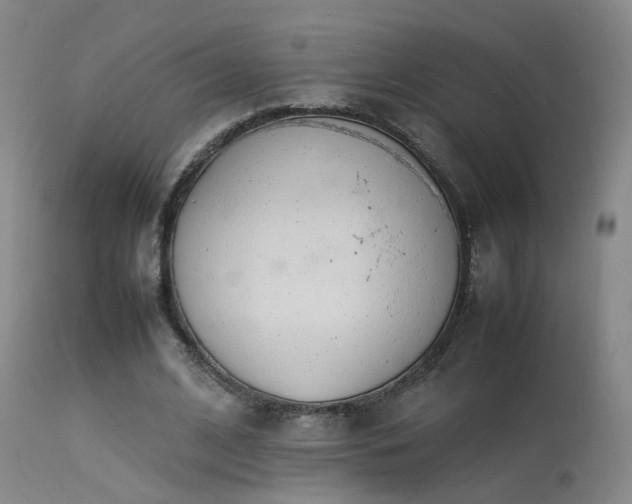 X0000113620584200909251208