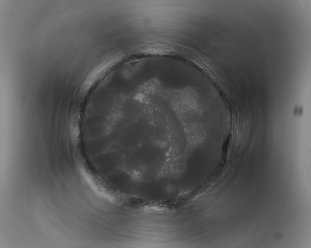 X0000113620586200909251208