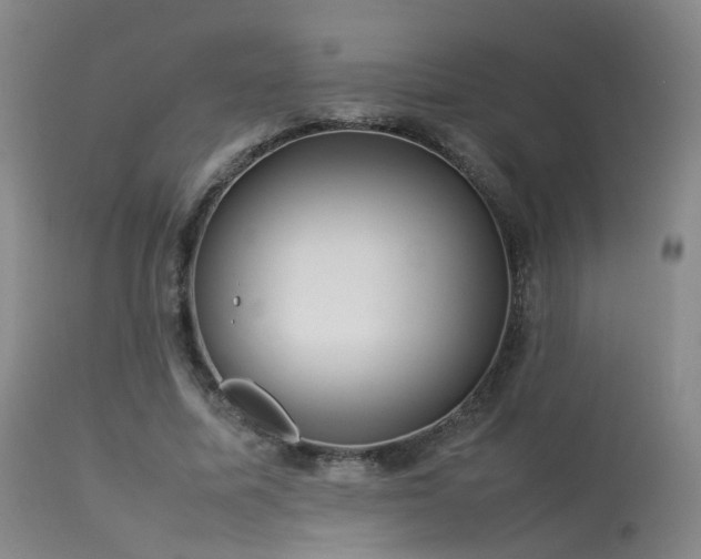 X0000113620587200909251208