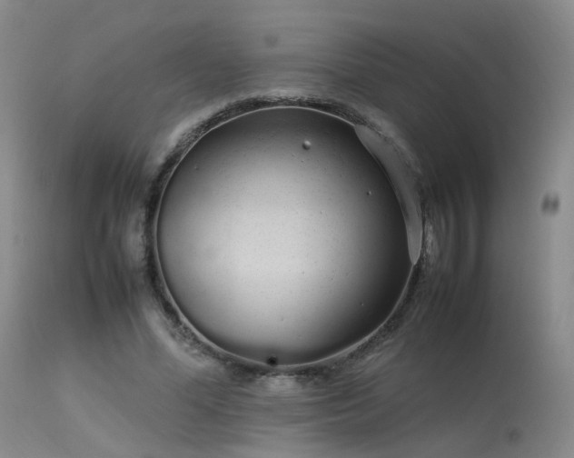 X0000113620588200909251208