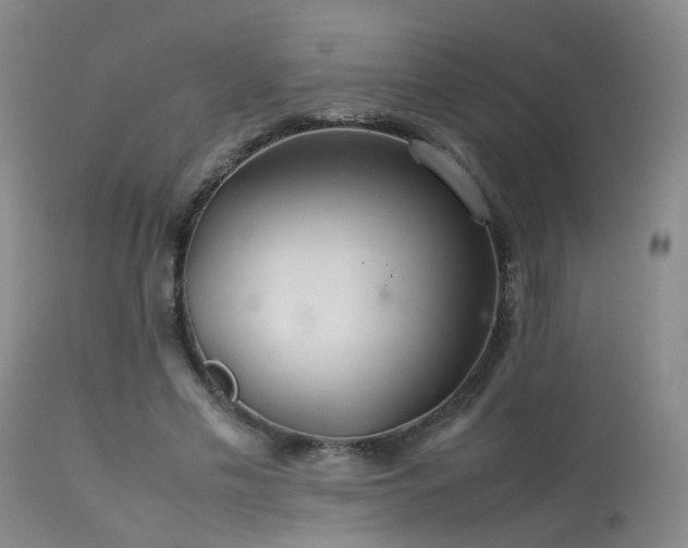 X0000113620589200909251208