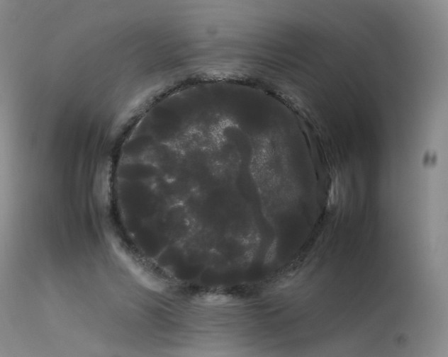 X0000113620590200909251208