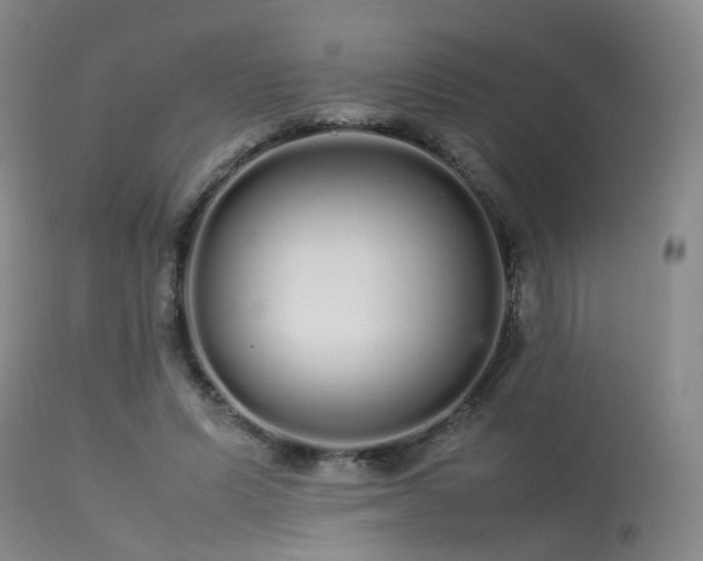 X0000113620591200909251208