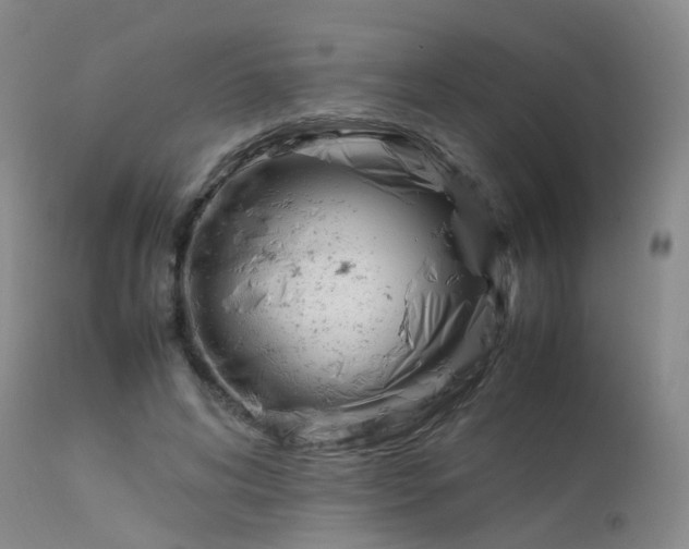 X0000113620592200909251208