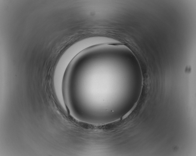 X0000113620593200909251208