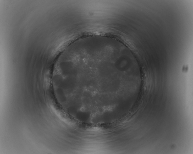 X0000113620594200909251208