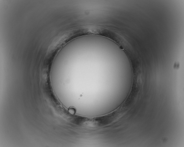 X0000113620595200909251208