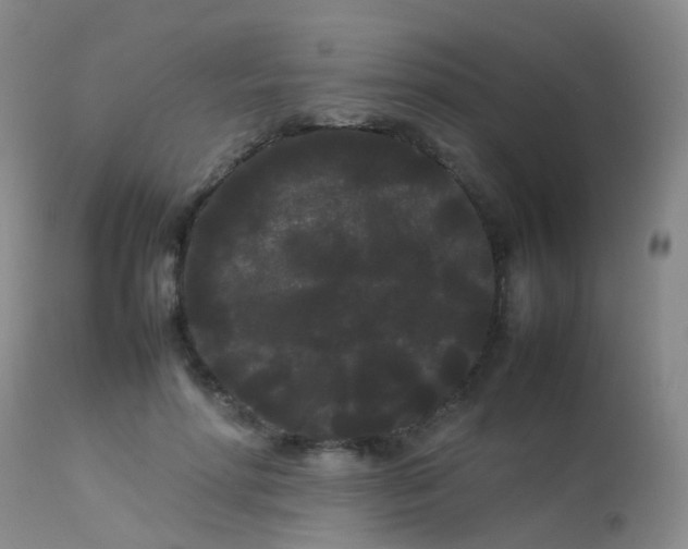 X0000113620598200909251208