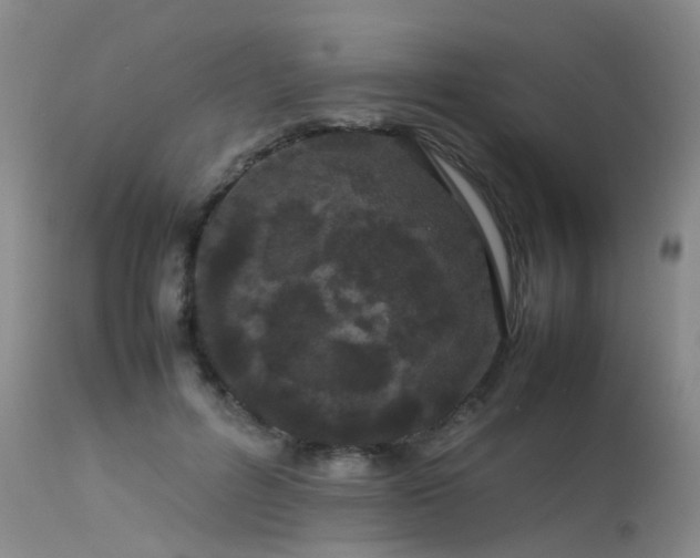 X0000113620600200909251208