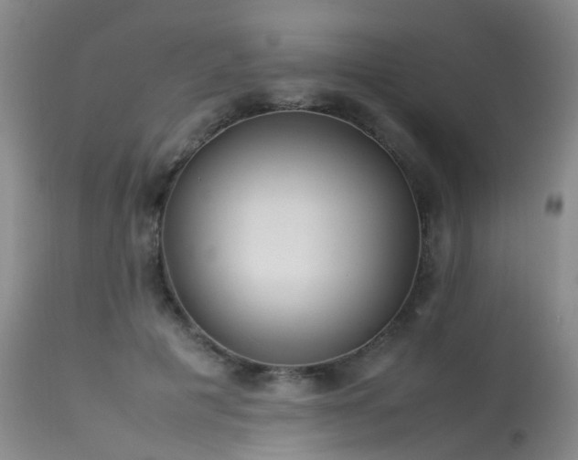 X0000113620601200909251208