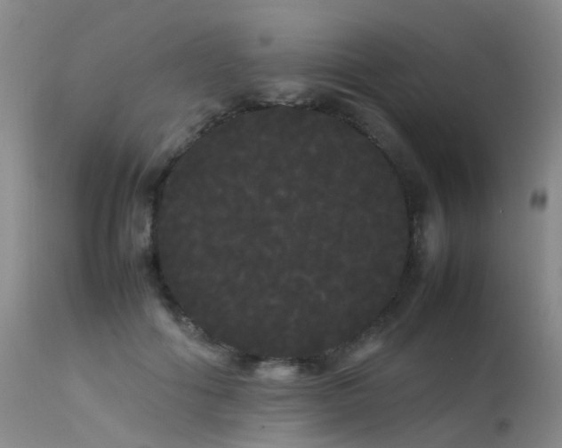 X0000113620602200909251208