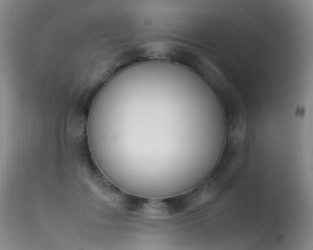 X0000113620603200909251208