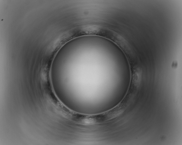 X0000113620604200909251208