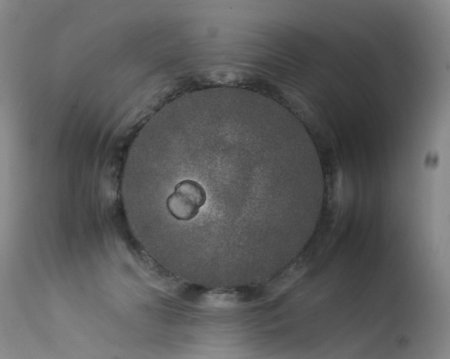 X0000113620606200909251208