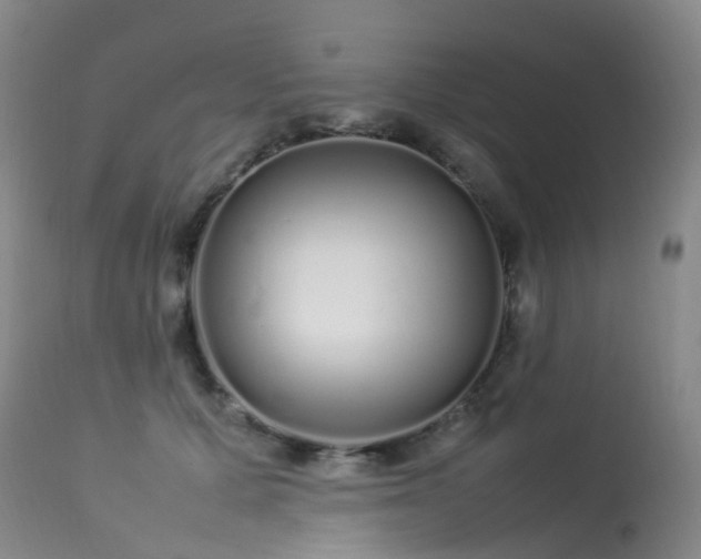 X0000113620607200909251208