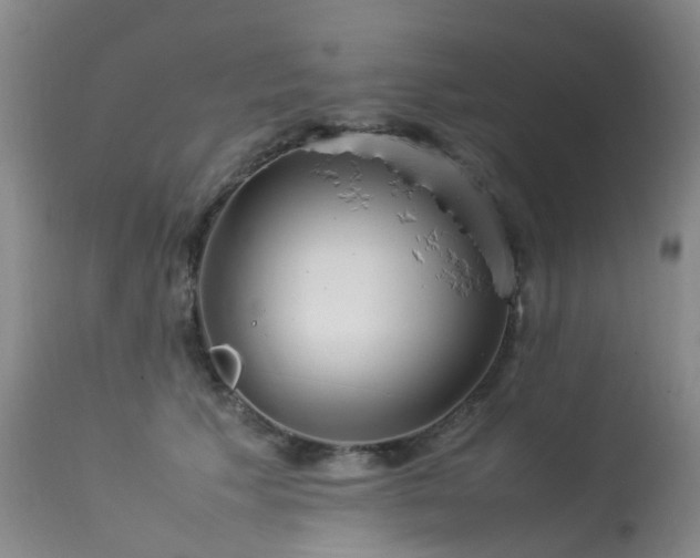 X0000113620609200909251208