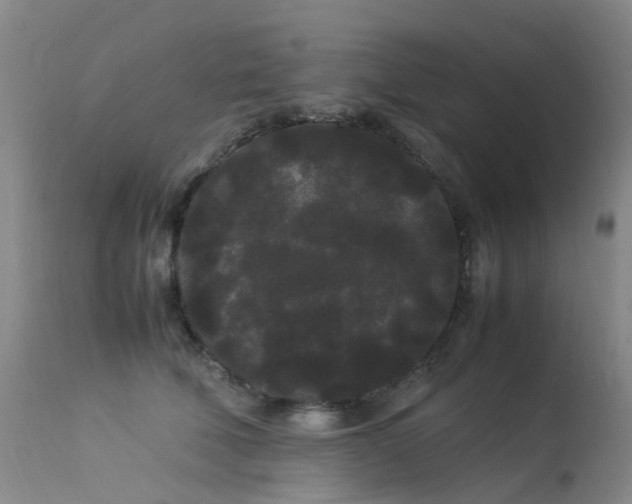 X0000113620610200909251208