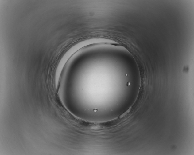 X0000113620611200909251208