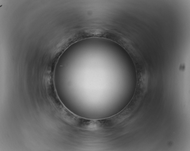 X0000113620612200909251208