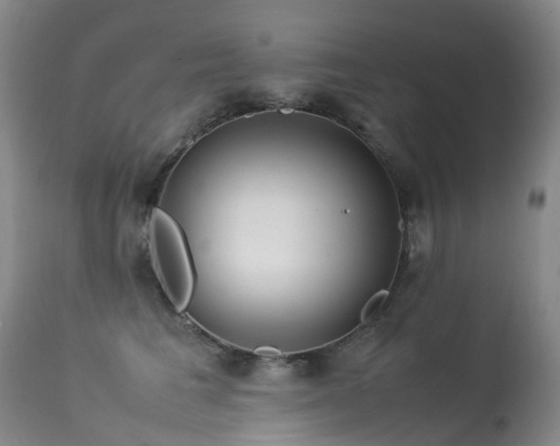 X0000113620613200909251208