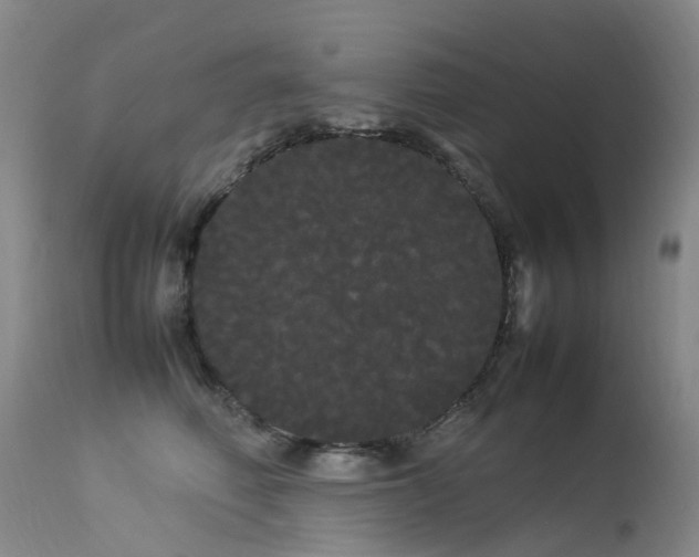 X0000113620614200909251208