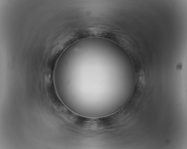 X0000113620615200909251208