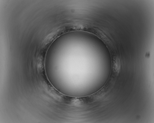 X0000113620616200909251208