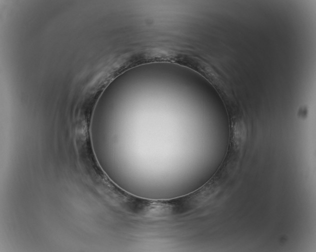 X0000113620617200909251208