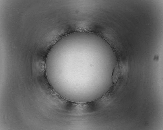 X0000113620621200909251208